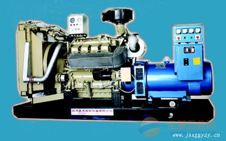 贵阳星光康明斯系列柴油发电机组 XG 250GF 性能卓越的电力保障解决方案